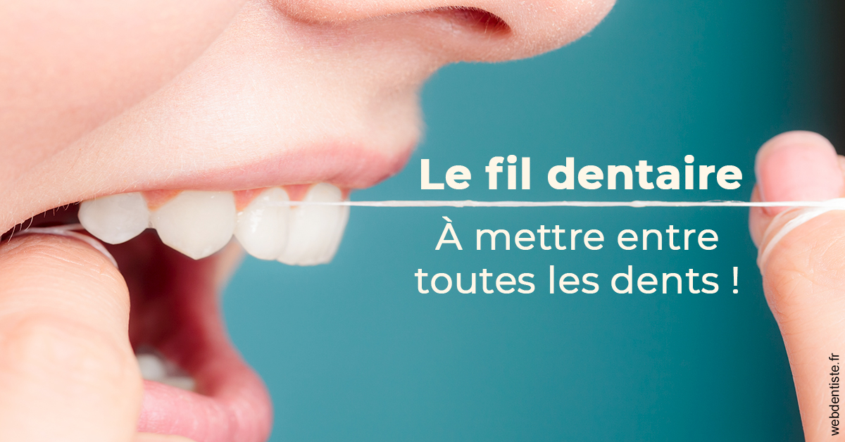 https://www.dentiste-thomas-brossard.fr/Le fil dentaire 2