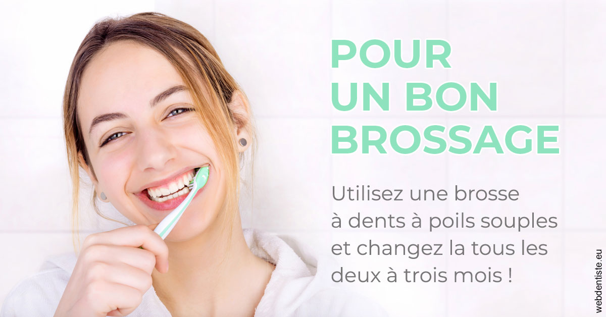 https://www.dentiste-thomas-brossard.fr/Pour un bon brossage 2