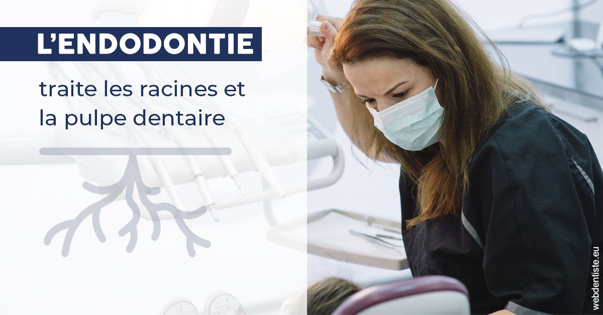 https://www.dentiste-thomas-brossard.fr/L'endodontie 1