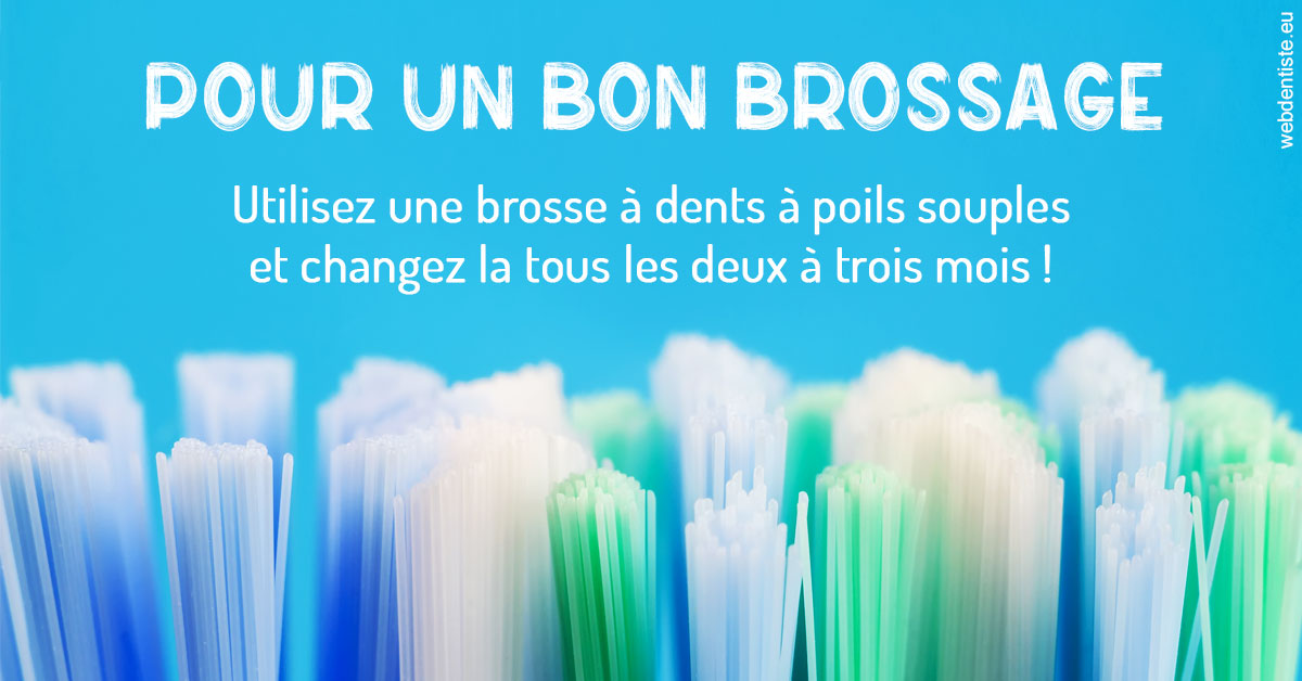 https://www.dentiste-thomas-brossard.fr/Pour un bon brossage 1