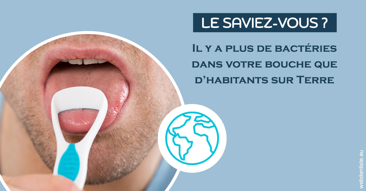 https://www.dentiste-thomas-brossard.fr/Bactéries dans votre bouche 2
