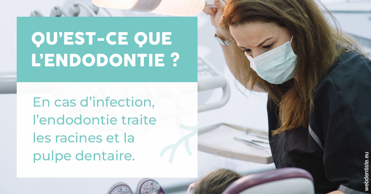 https://www.dentiste-thomas-brossard.fr/2024 T1 - Endodontie 01