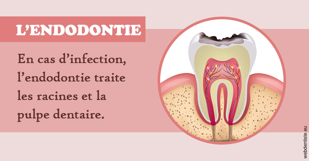 https://www.dentiste-thomas-brossard.fr/L'endodontie 2